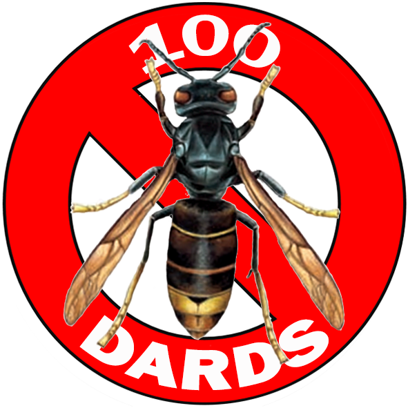 Logo 100-Dards